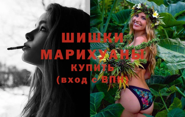 шишки Баксан
