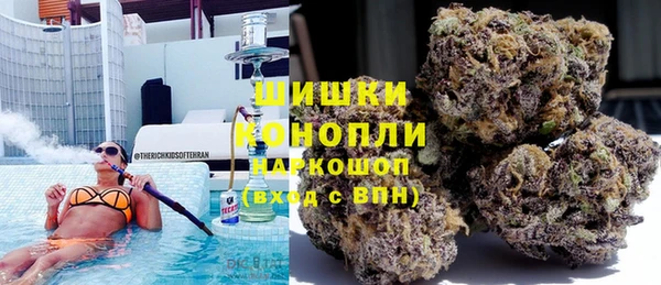 шишки Баксан