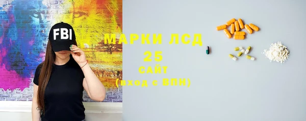 шишки Баксан