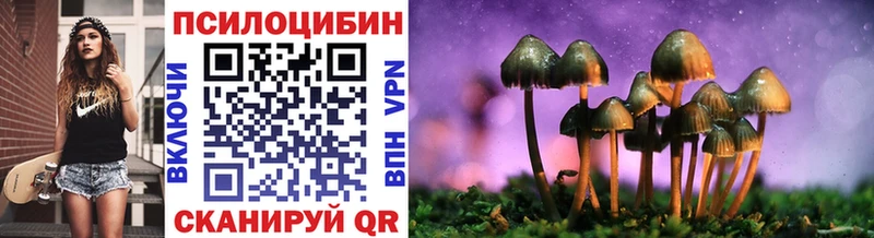 Псилоцибиновые грибы Psilocybe  Гдов 